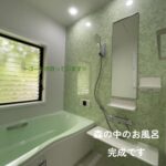 森の中にいるみたいです